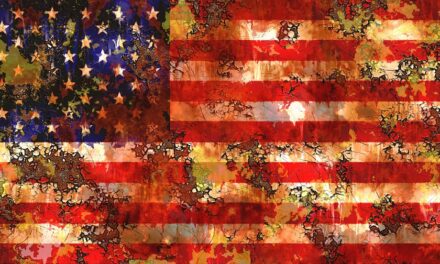 La disputa sulle elezioni americane. Materiali e informazioni per il lettore curioso (terza parte)