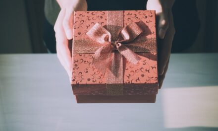 🔴 Un regalo di Natale bello e utile, acquistabile a buon prezzo da casa e senza aspettare pacchi